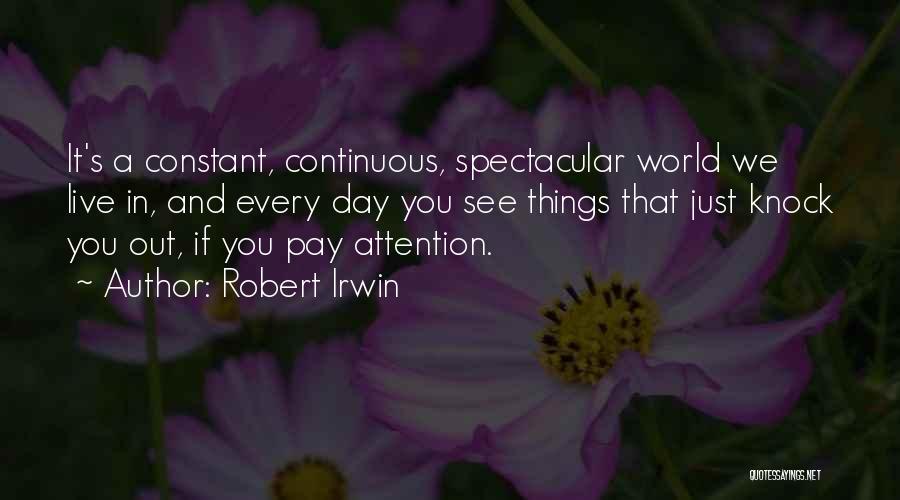 Irwin Quotes By Robert Irwin