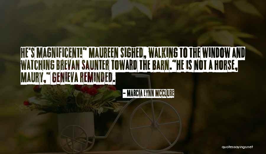 Is Barn Quotes By Marcia Lynn McClure Is Barn Quotes By Marcia Lynn McClure