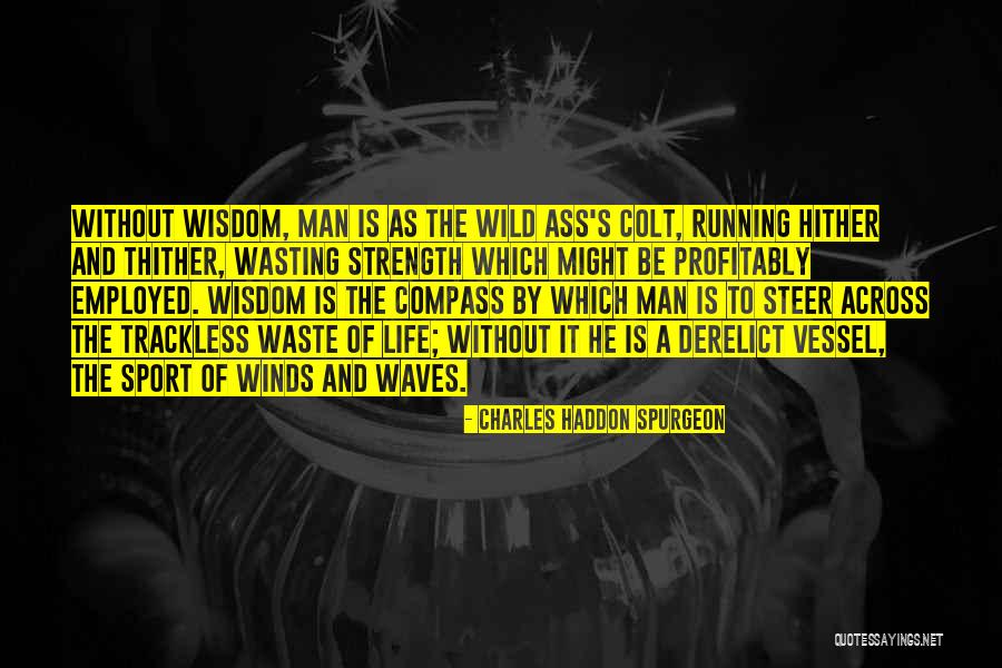 Is Colt Quotes By Charles Haddon Spurgeon Is Colt Quotes By Charles Haddon Spurgeon