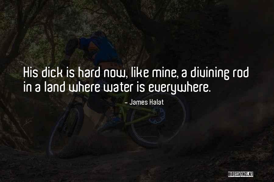 Is Everywhere Quotes By James Halat
