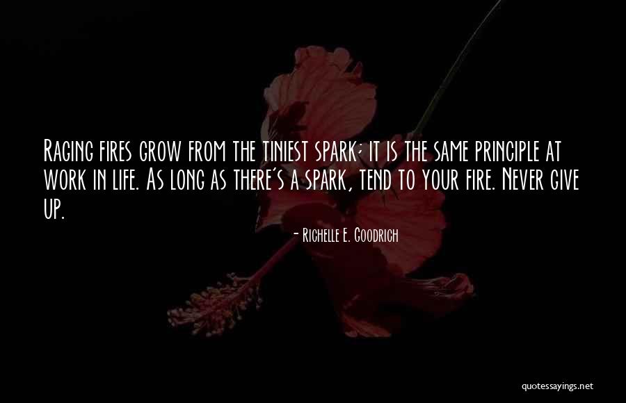 Is Goals In Life Quotes By Richelle E. Goodrich Is Goals In Life Quotes By Richelle E. Goodrich
