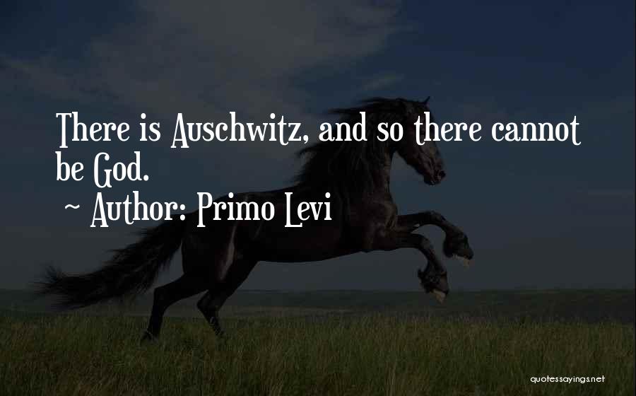 Is God There Quotes By Primo Levi