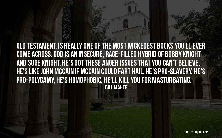 Is Hail Quotes By Bill Maher Is Hail Quotes By Bill Maher