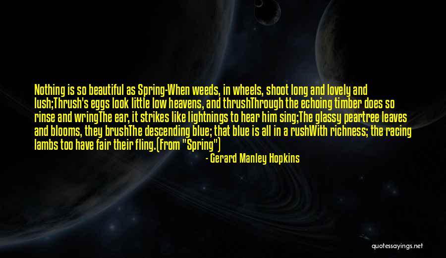 Is It Fair Quotes By Gerard Manley Hopkins