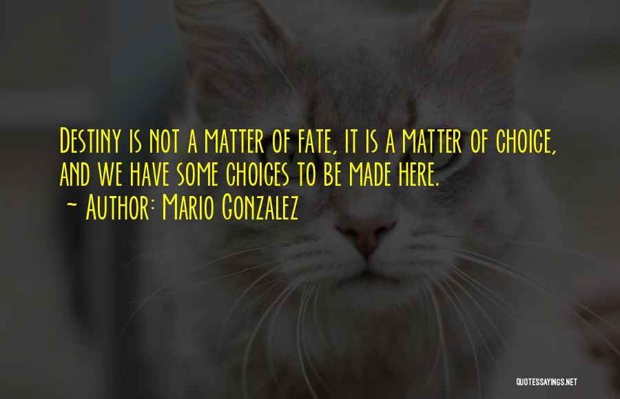 Is It Fate Quotes By Mario Gonzalez