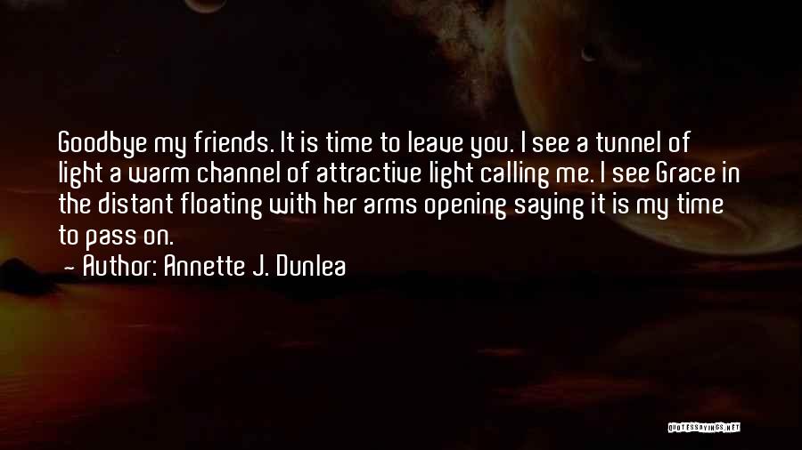 Is It Goodbye Quotes By Annette J. Dunlea