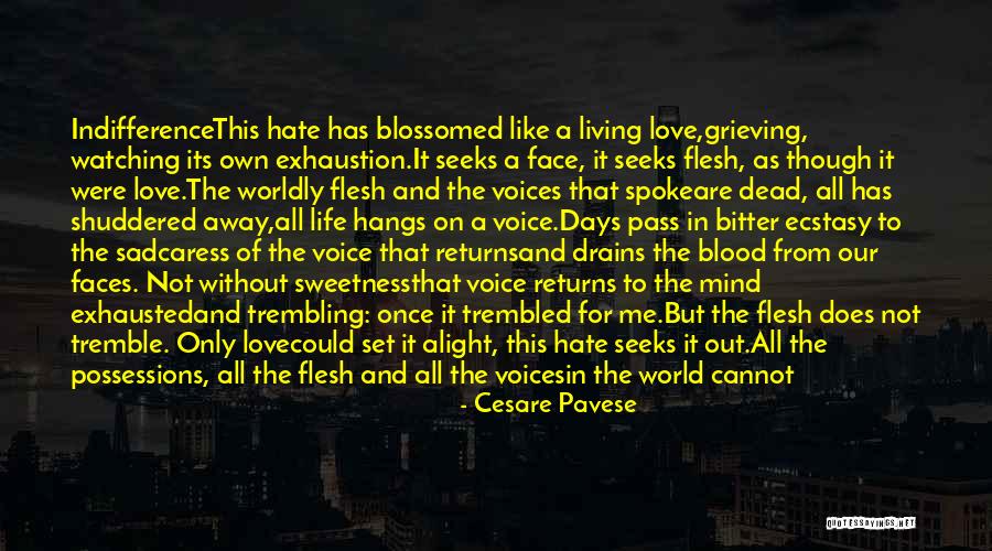 Is It Hate Or Indifference Quotes By Cesare Pavese Is It Hate Or Indifference Quotes By Cesare Pavese
