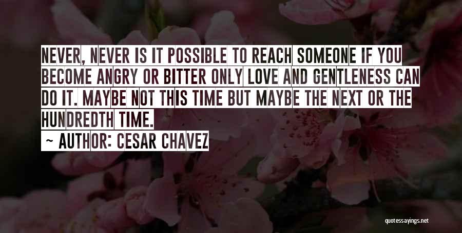 Is It Possible To Love Someone Quotes By Cesar Chavez