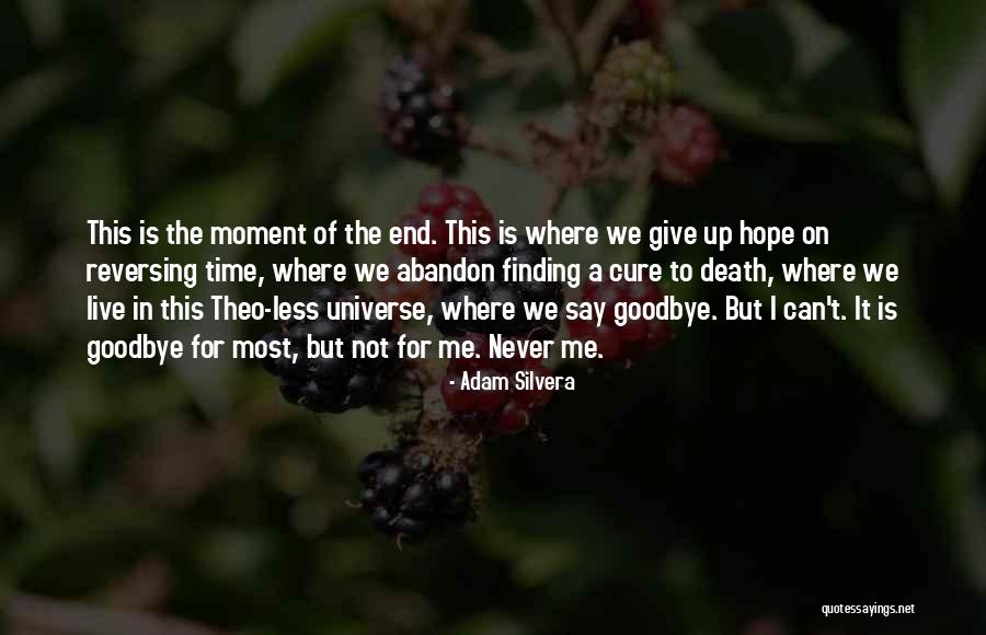 Is It Time To Say Goodbye Quotes By Adam Silvera