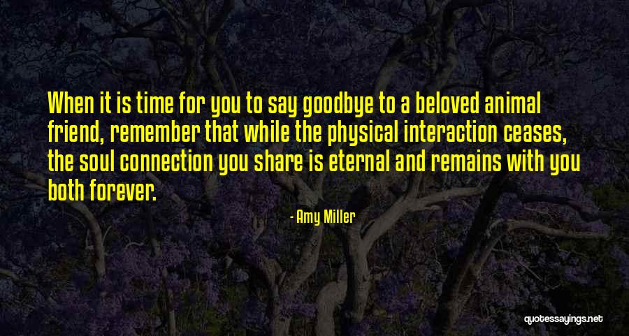 Is It Time To Say Goodbye Quotes By Amy Miller