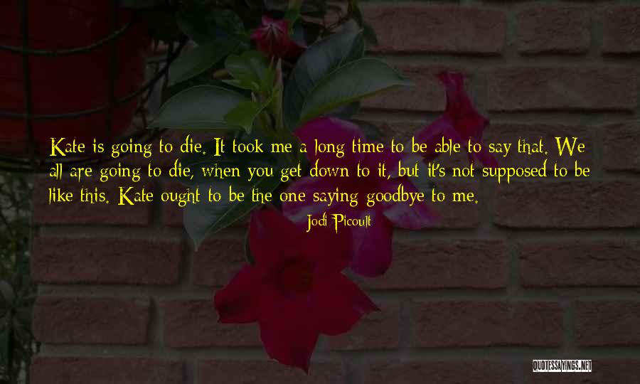 Is It Time To Say Goodbye Quotes By Jodi Picoult