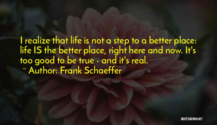 Is It Too Good To Be True Quotes By Frank Schaeffer