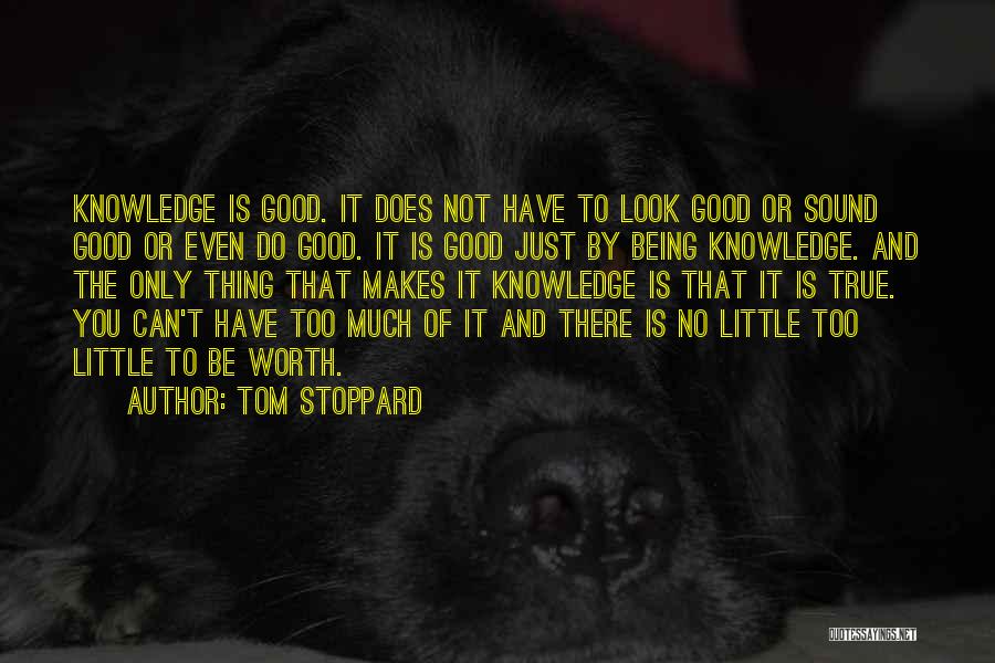 Is It Too Good To Be True Quotes By Tom Stoppard