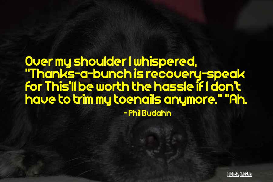Is It Worth It Anymore Quotes By Phil Budahn