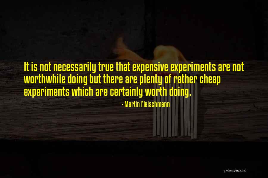 Is It Worth Quotes By Martin Fleischmann