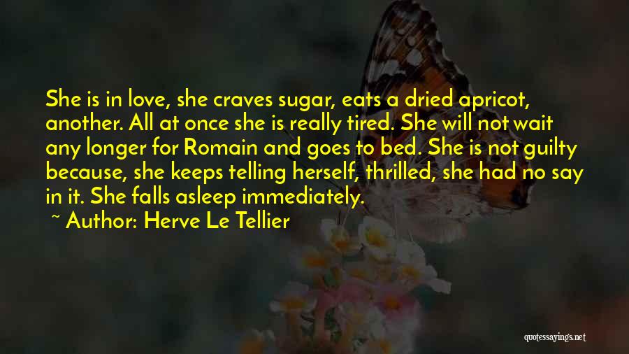 Is Love Really Enough Quotes By Herve Le Tellier