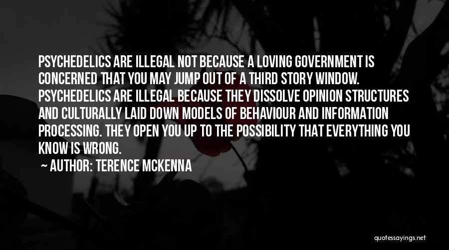 Is Loving You Wrong Quotes By Terence McKenna