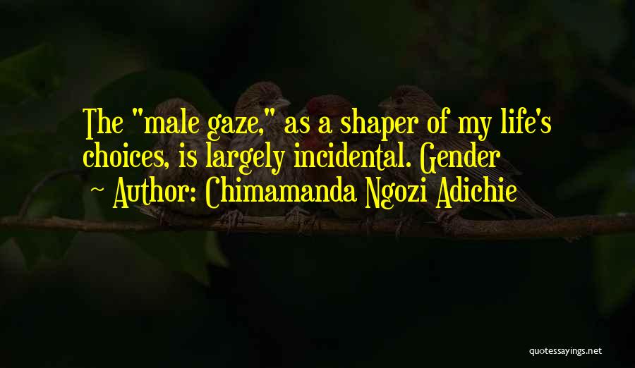 Is My Life Quotes By Chimamanda Ngozi Adichie