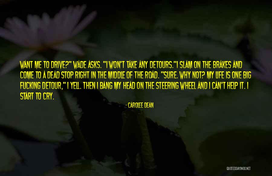Is Not The Road To Take Quotes By Carolee Dean Is Not The Road To Take Quotes By Carolee Dean
