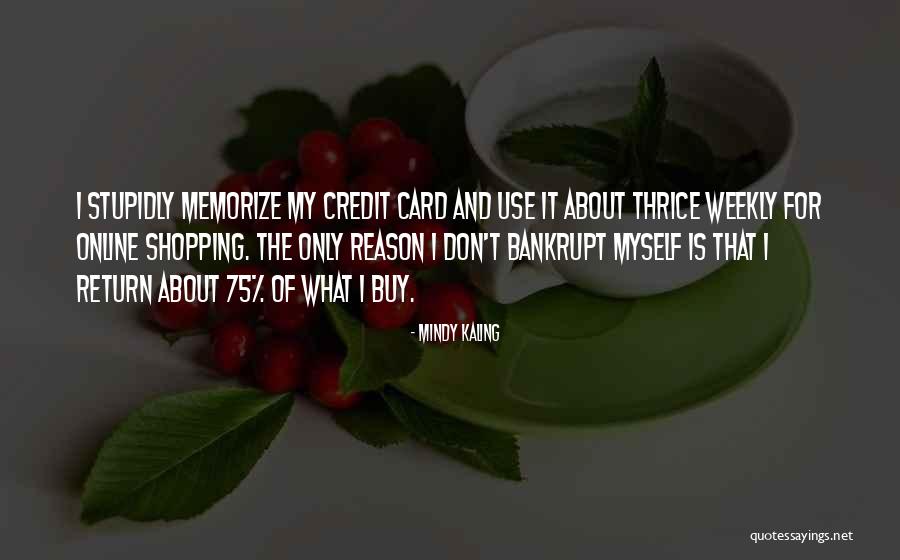 Is Shopping Online Quotes By Mindy Kaling Is Shopping Online Quotes By Mindy Kaling
