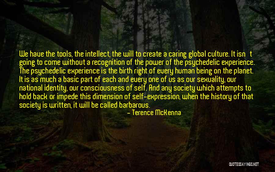 Is Society Going Quotes By Terence McKenna Is Society Going Quotes By Terence McKenna
