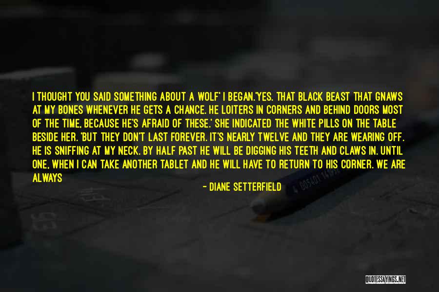 Is Something Quotes By Diane Setterfield Is Something Quotes By Diane Setterfield