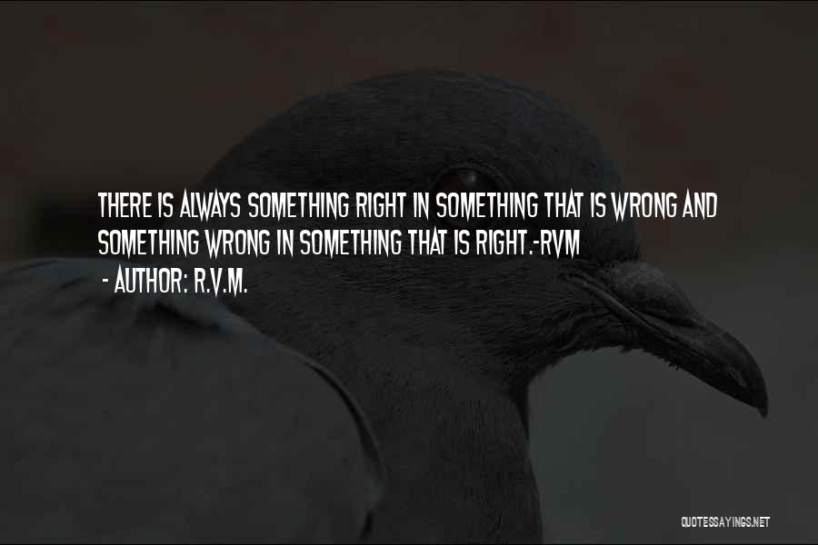 Is Something Wrong Quotes By R.v.m.