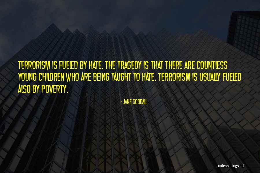 Is Terrorism Quotes By Jane Goodall Is Terrorism Quotes By Jane Goodall