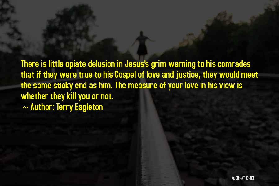 Is There True Love Quotes By Terry Eagleton