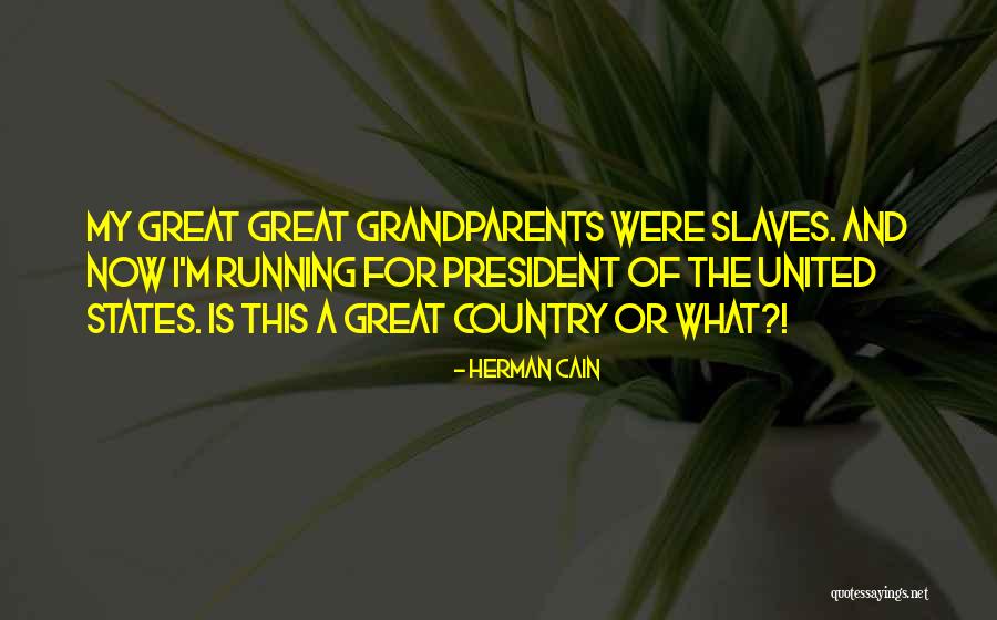 Is This A Great Country Or What Quotes By Herman Cain Is This A Great Country Or What Quotes By Herman Cain