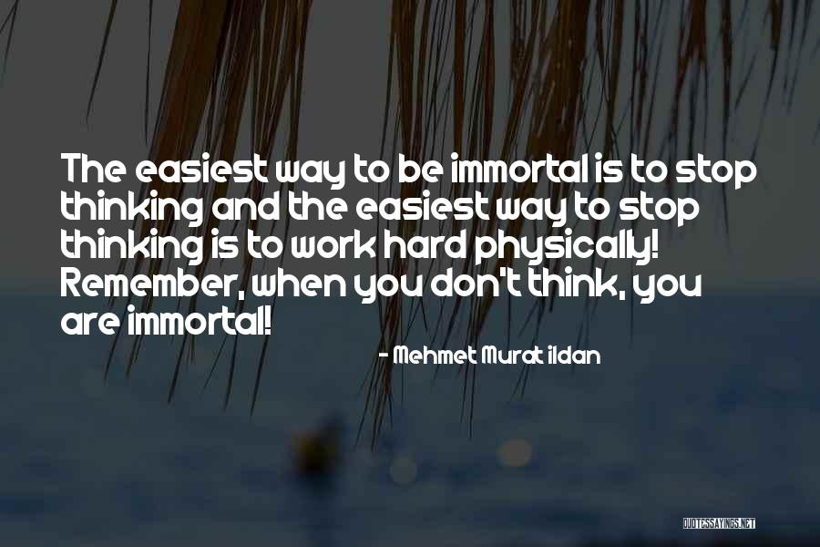 Is Working Hard Quotes By Mehmet Murat Ildan Is Working Hard Quotes By Mehmet Murat Ildan