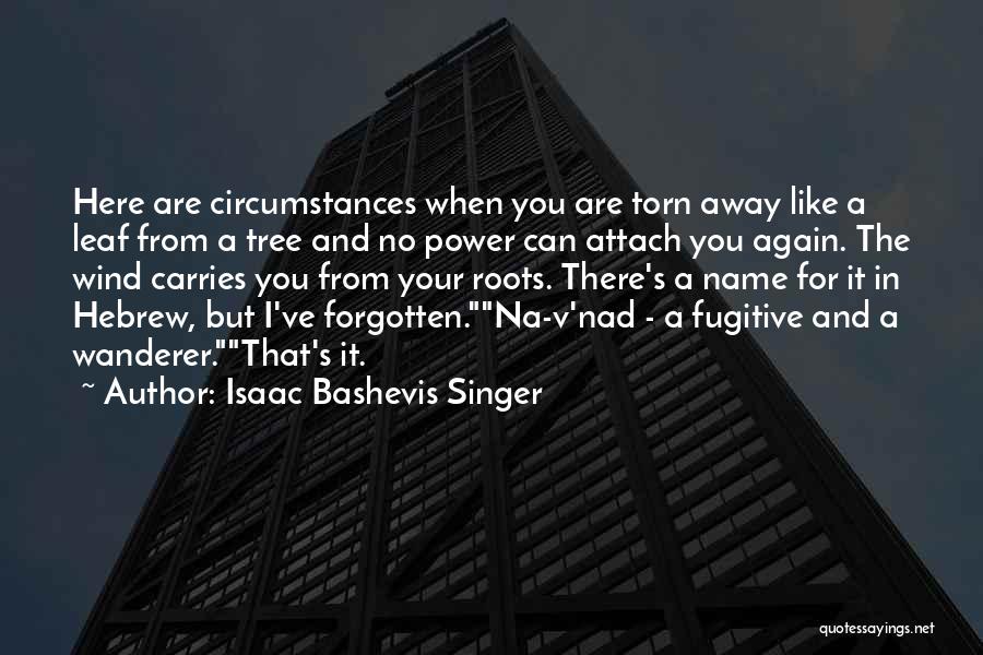 Isaac Bashevis Singer Quotes 1680779