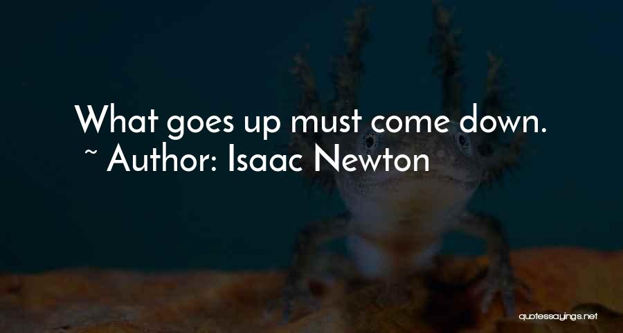 Isaac Newton Quotes 519498