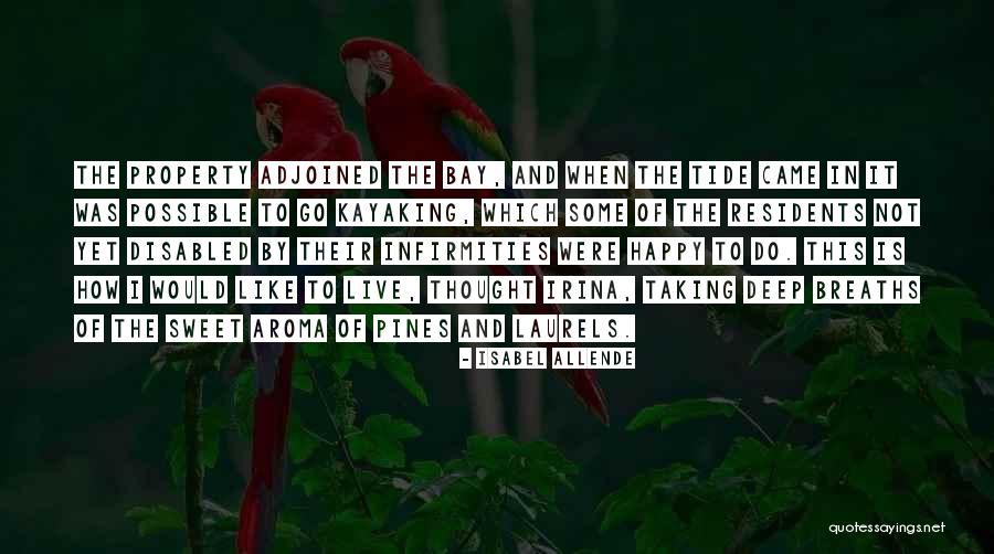 Isabel Allende Quotes 1440643 Isabel Allende Quotes 1440643