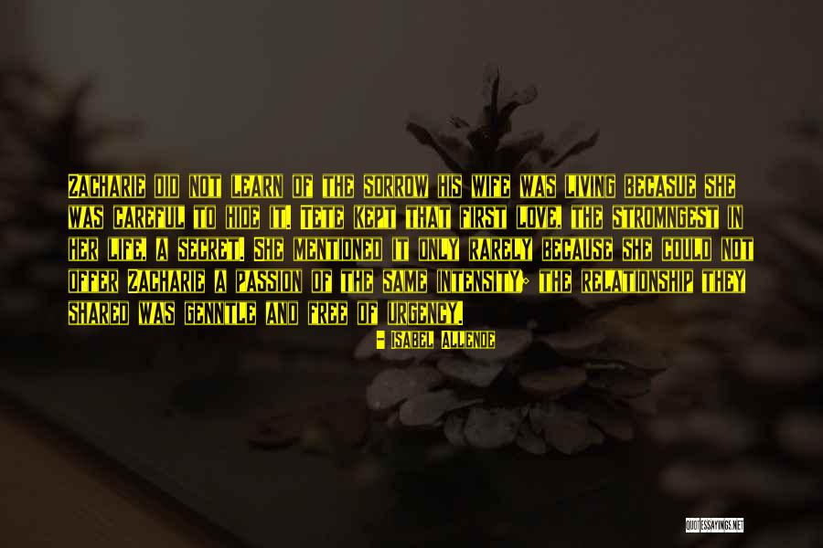 Isabel Allende Quotes 1715386 Isabel Allende Quotes 1715386