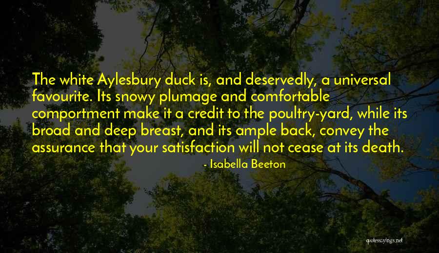 Isabella Beeton Quotes 318311