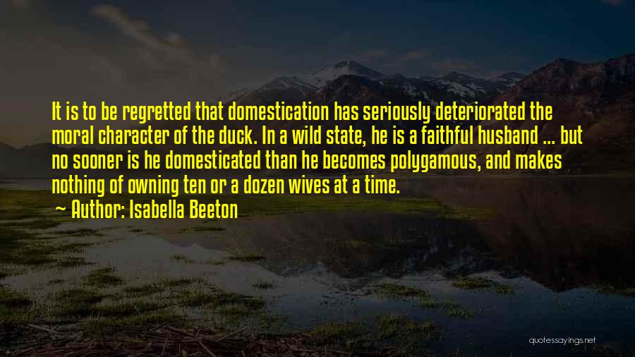 Isabella Beeton Quotes 826393