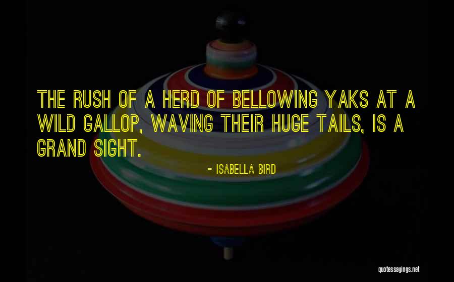 Isabella Bird Quotes 1443908