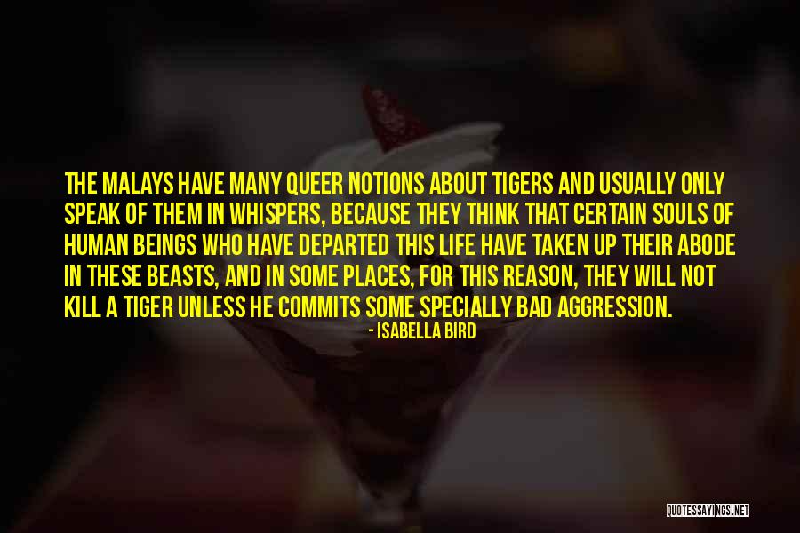 Isabella Bird Quotes 1459982 Isabella Bird Quotes 1459982