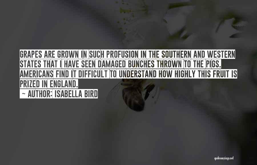 Isabella Bird Quotes 1541659