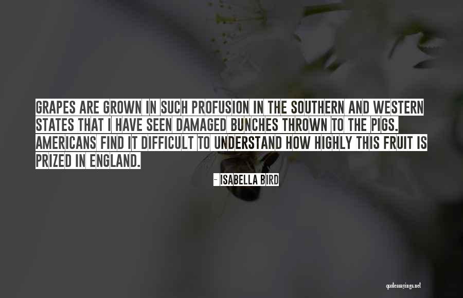 Isabella Bird Quotes 1541659 Isabella Bird Quotes 1541659
