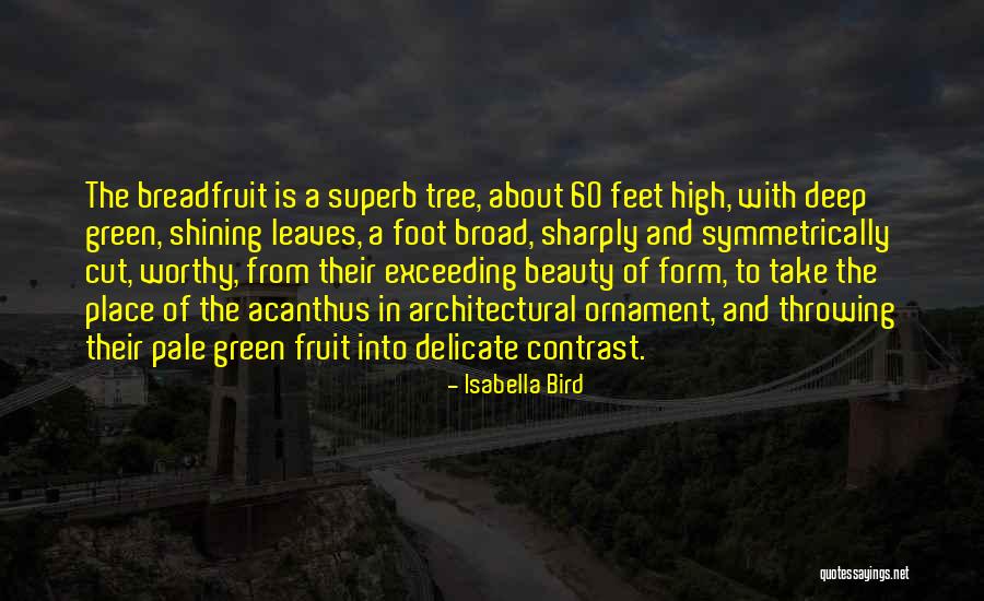 Isabella Bird Quotes 1609190