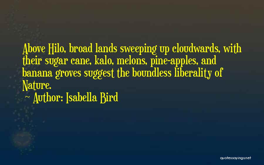 Isabella Bird Quotes 1858646