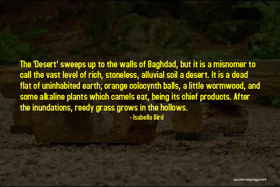 Isabella Bird Quotes 1928456 Isabella Bird Quotes 1928456