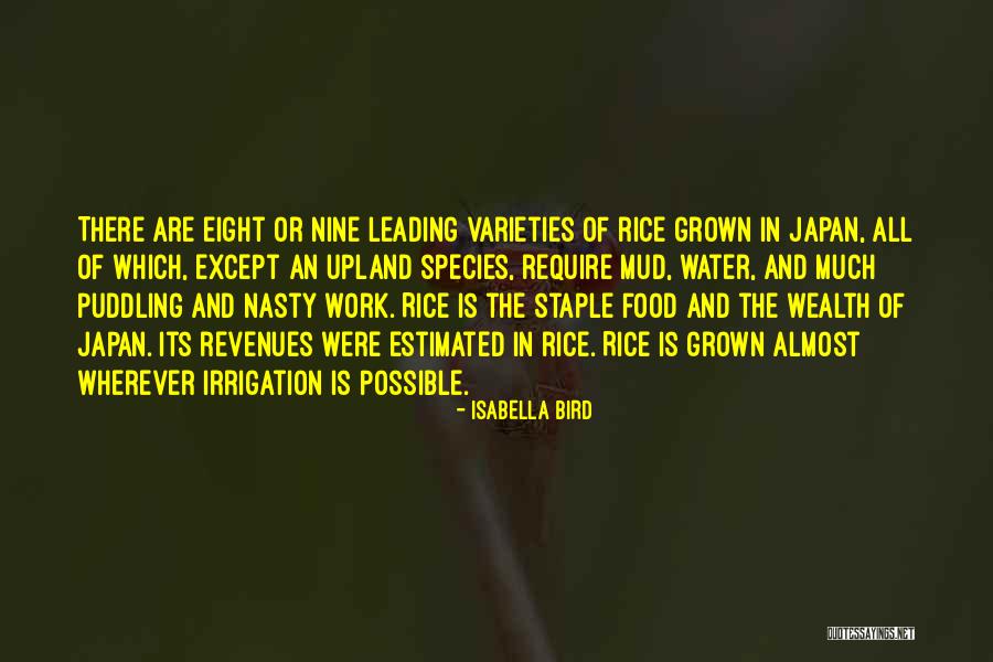 Isabella Bird Quotes 2086538 Isabella Bird Quotes 2086538