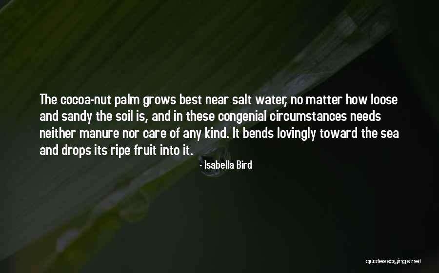 Isabella Bird Quotes 889217