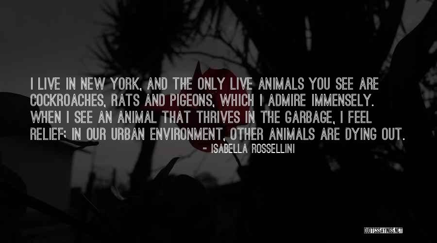 Isabella Rossellini Quotes 1575077