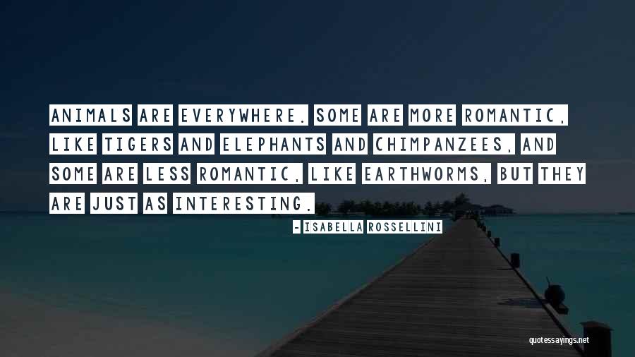 Isabella Rossellini Quotes 510347