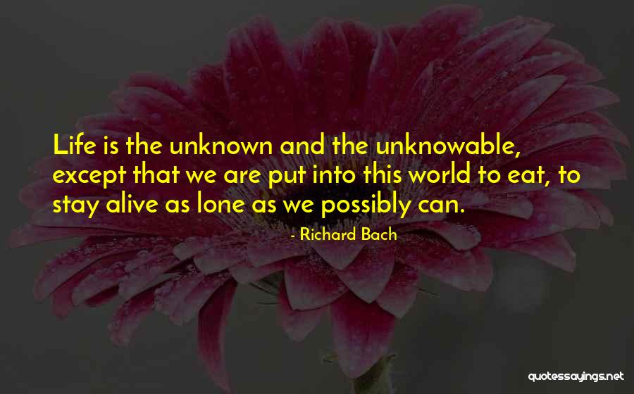 Isacco Quotes By Richard Bach Isacco Quotes By Richard Bach