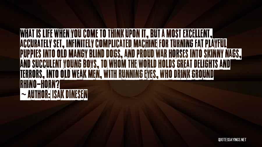 Isak Dinesen Quotes 1902905